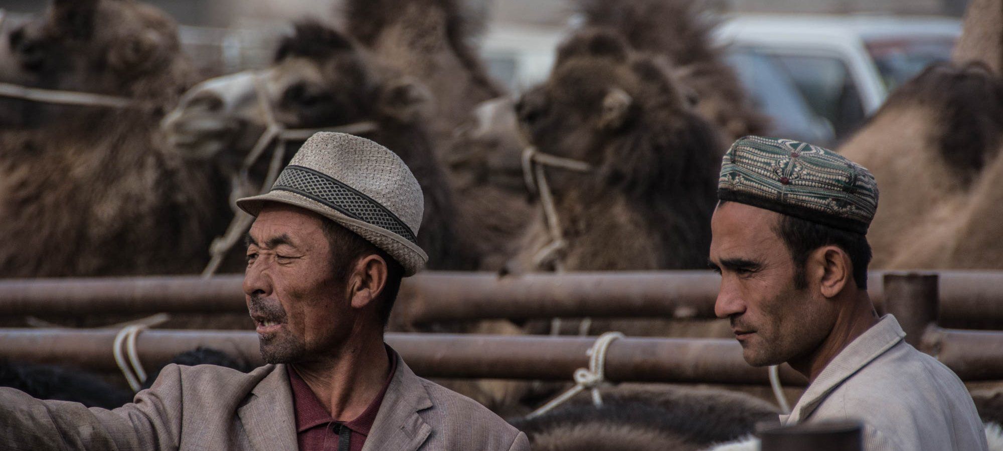 Kashgar - Livestock Market 